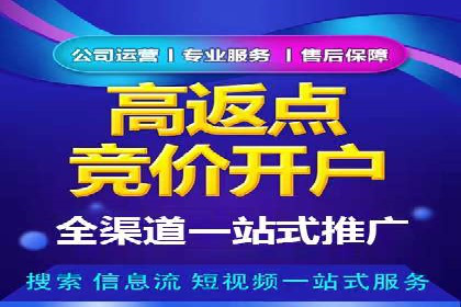 百度推广的关键词策略——成功案例解读